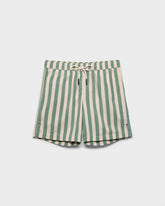 Printed Macro Stripes Swim Shorts - Printed Swimshorts | 