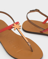 Leather Thongs Sandals | 
